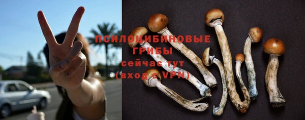 каннабис Алексин