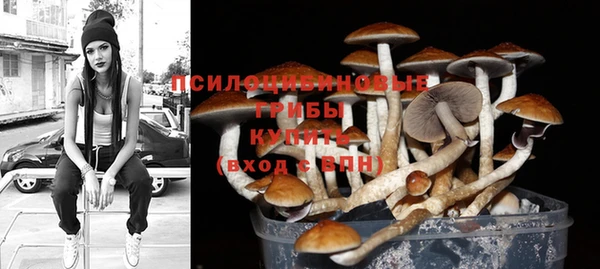 кокс Алексеевка