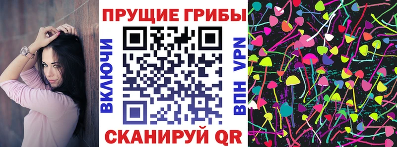 Псилоцибиновые грибы Cubensis  mega   Верхоянск 